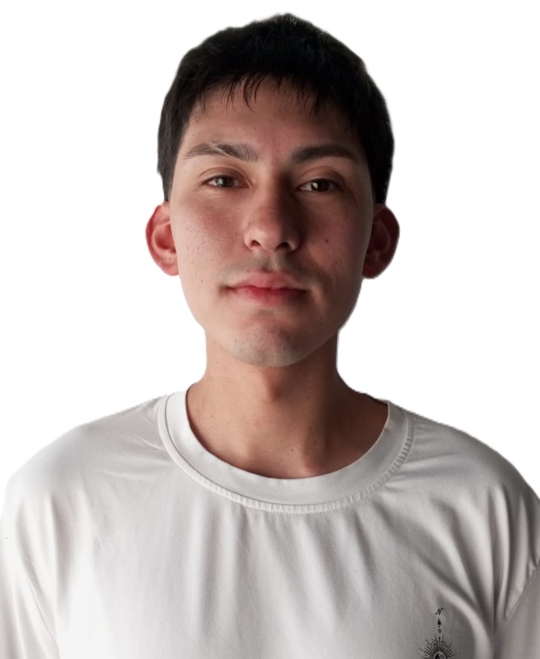 JUAN VILLAMIL - COMEX