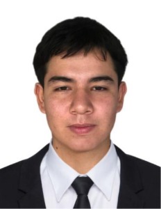 LUIS CARLOS VARGAS - TI